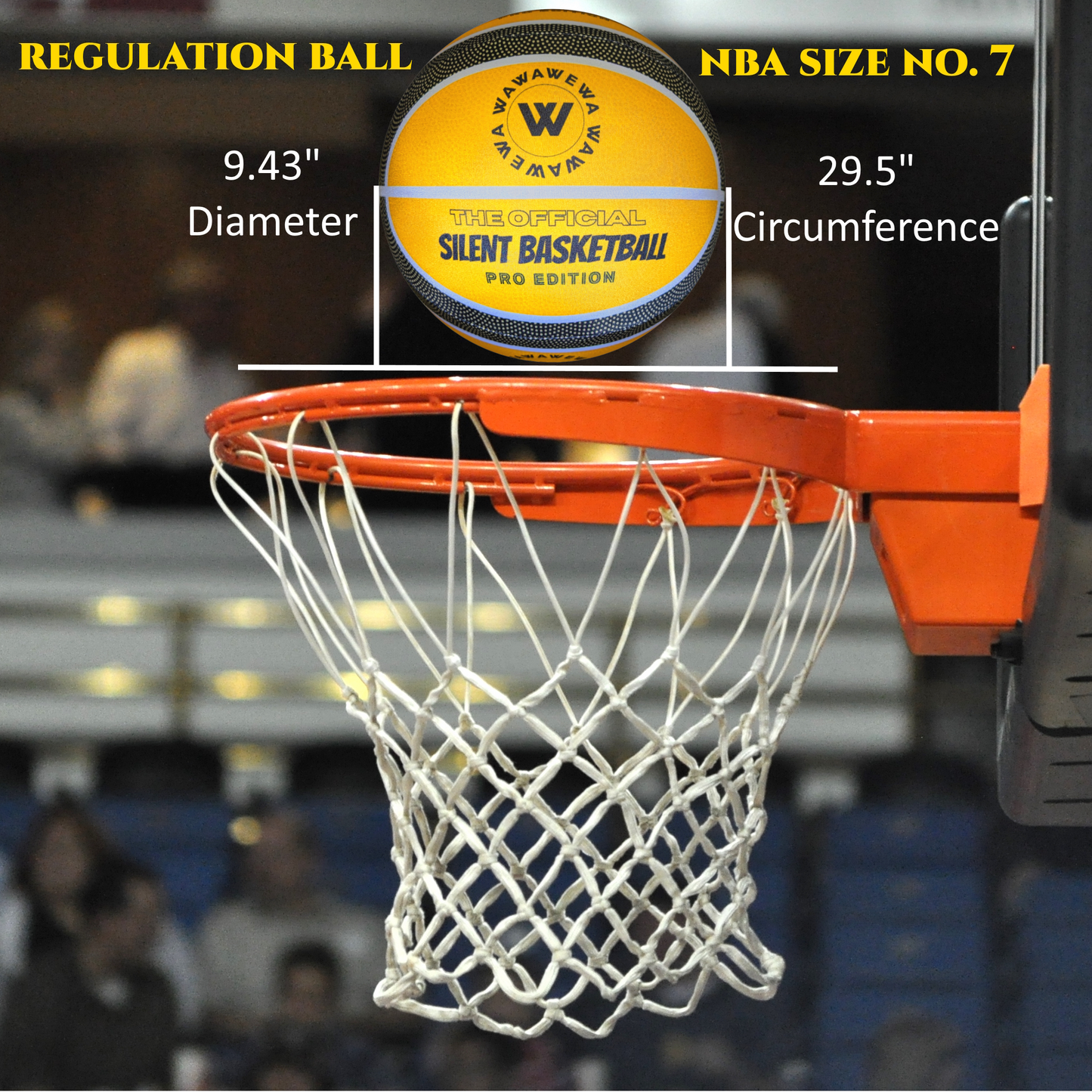 The Official Silent Basketball PRO