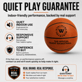 The Official Silent Basketball Hoop 15