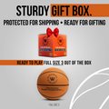 The Official Silent Basketball (Size 3) Bundle with Hoop